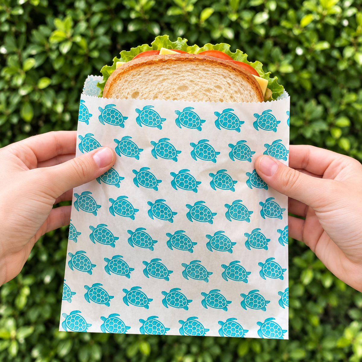 Small Paper Bags – Turtle Design